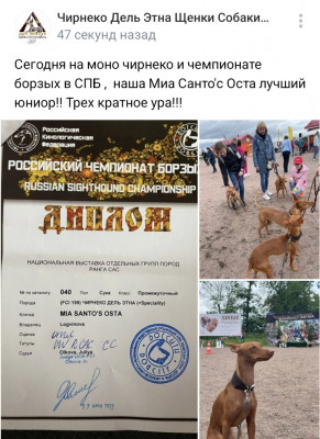 Screenshot_20220617-155235_VK.jpg