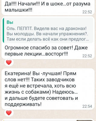 Screenshot_20221002_230328.jpg