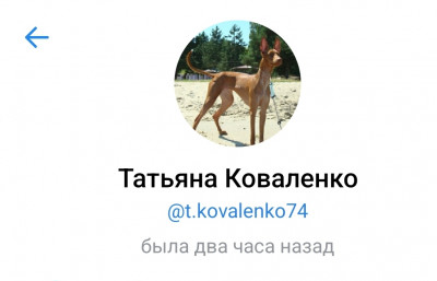 Screenshot_20221031_120413.jpg