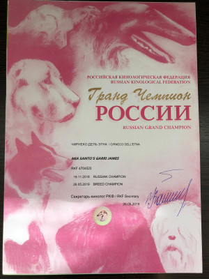 IMG-20241130-WA0118.jpg