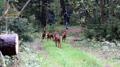 20IMG_8959.jpg