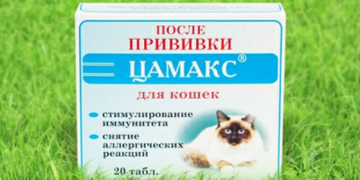 IMG_20160302_135919 цамакс.jpg